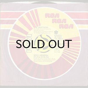 画像3: THE BROTHERS / VOCE ABOUSOU b/w THIS WORLD TODAY IS A MESS (45's) (3)