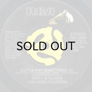 画像1: GREY & HANKS / GOTTA PUT SOMETHING IN (45's) (1)