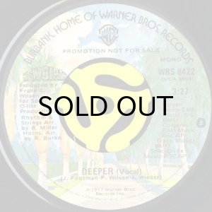 画像2: NEW BIRTH / DEEPER (45's) (PROMO) (2)