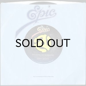 画像3: EDDY GRANT / WALKING ON SUNSHINE (45's) (3)