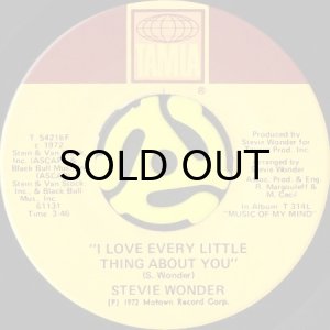 画像1: STEVIE WONDER / I LOVE EVERY LITTLE THING ABOUT YOU (45's) (1)