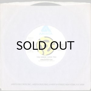 画像3: BREAKWATER / YOU KNOW I LOVE YOU (45's) (WHITE PROMO) (3)