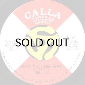 画像2: THE FUZZ / LIKE AN OPEN DOOR b/w LEAVING IT ALL BEHIND ME (45's) (2)