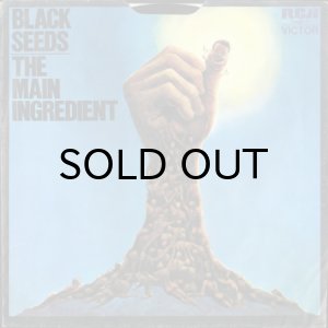 画像1: THE MAIN INGREDIENT / BLACK SEEDS KEEP ON GROWING (45's) (PICTURE SLEEVE) (1)