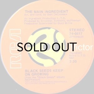 画像3: THE MAIN INGREDIENT / BLACK SEEDS KEEP ON GROWING (45's) (PICTURE SLEEVE) (3)