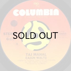 画像2: TAJ MAHAL / WHY DID YOU HAVE TO DESERT ME? b/w CAJUN WALTZ (45's) (2)