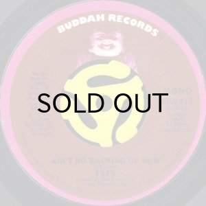 画像2: ISIS / AIN'T NO BACKING UP NOW (45's) (PROMO) (2)