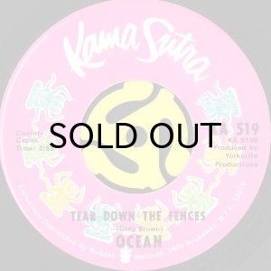 画像2: OCEAN / PUT YOUR HAND IN THE HAND (45's) (2)