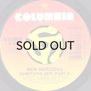 画像2: NEW HORIZONS / SOMETHING NEW (45's) (2)