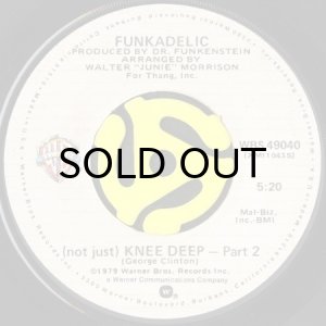 画像2: FUNKADELIC / (NOT JUST) KNEE DEEP (45's) (2)
