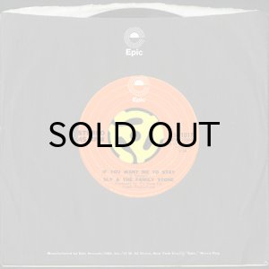 画像3: SLY & THE FAMILY STONE / IF YOU WANT ME TO STAY b/w BABIES MAKIN' BABIES (45's) (3)