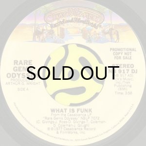 画像2: RARE GEMS ODYSSEY / WHAT IS FUNK (45's) (PROMO) (2)