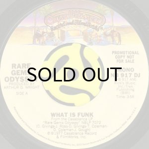 画像1: RARE GEMS ODYSSEY / WHAT IS FUNK (45's) (PROMO) (1)