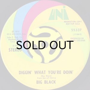 画像1: BIG BLACK / DIGGIN' WHAT YOU'RE DOIN' b/w MELLOW (45's) (1)