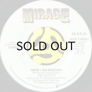 画像2: THE SYSTEM / YOU ARE IN MY SYSTEM (45's) (2)