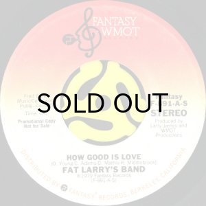 画像2: FAT LARRY'S BAND / HOW GOOD IS LOVE (45's) (PROMO) (2)