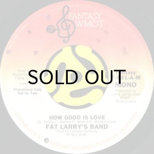 画像1: FAT LARRY'S BAND / HOW GOOD IS LOVE (45's) (PROMO) (1)