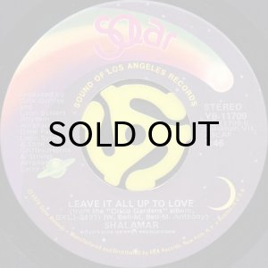 画像2: SHALAMAR / THE SECOND TIME AROUND (45's) (2)