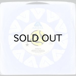 画像3: URSZULA DUDZIAK / PAPAYA (45's) (WHITE PROMO) (3)