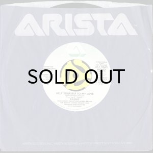 画像3: KASHIF / HELP YOURSELF TO MY LOVE (45's) (PROMO) (3)