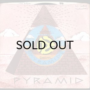 画像3: D.C. LARUE / CATHEDRALS (45's) (3)