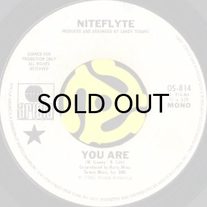 画像1: NITEFLYTE / YOU ARE (45's) (WHITE PROMO) (1)