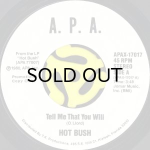 画像1: HOT BUSH / TELL ME THAT YOU WILL (45's) (WHITE PROMO) (1)