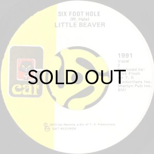 画像2: LITTLE BEAVER / WISH I HAD A GIRL LIKE YOU b/w SIX FOOT HOLE (45's) (2)
