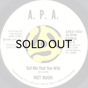画像2: HOT BUSH / TELL ME THAT YOU WILL (45's) (WHITE PROMO) (2)