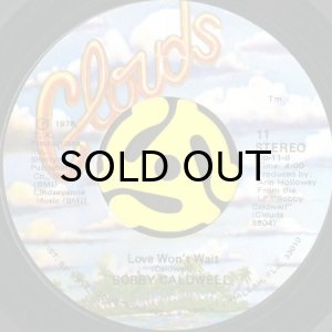 画像2: BOBBY CALDWELL / WHAT YOU WON'T DO FOR LOVE (45's) (2)