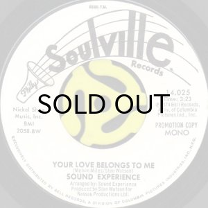 画像1: SOUND EXPERIENCE / YOUR LOVE BELONGS TO ME (45's) (WHITE PROMO) (1)