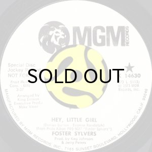 画像1: FOSTER SYLVERS / HEY, LITTLE GIRL (45's) (WHITE PROMO) (1)