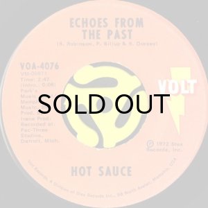 画像1: HOT SAUCE / ECHOES FROM THE PAST b/w BRING IT HOME (AND GIVE IT TO ME) (45's) (1)