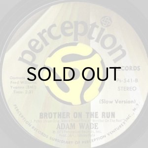 画像2: ADAM WADE / BROTHER ON THE RUN (45's) (2)