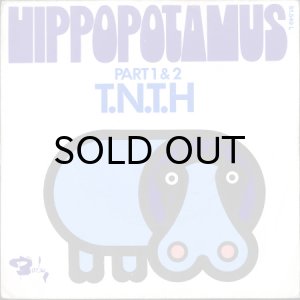 画像1: T.N.T.H. / HIPPOPOTAMUS (45's) (1)