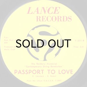 画像2: THE ROXBURY MEMORIAL "CONTEMPORARY STRING REVOLUTION" / HANG 'EM HIGH (45's) (2)