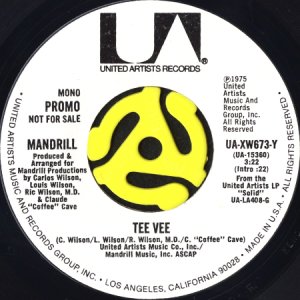 画像1: MANDRILL / TEE VEE (45's) (WHITE PROMO) (1)