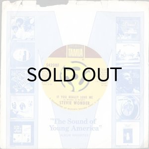 画像3: STEVIE WONDER / IF YOU REALLY LOVE ME (45's) (3)