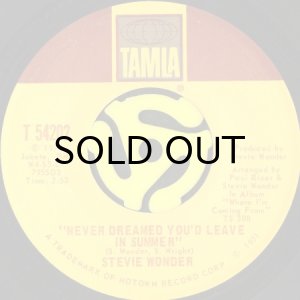 画像2: STEVIE WONDER / WE CAN WORK IT OUT (45's) (2)
