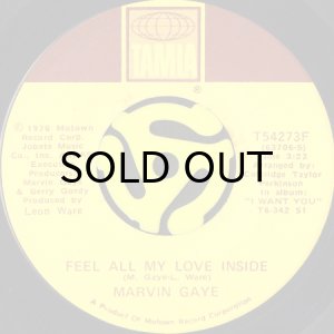 画像2: MARVIN GAYE / AFTER THE DANCE (45's) (2)