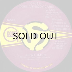 画像2: TEENA MARIE / SQUARE BIZ (45's) (2)