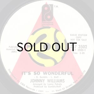 画像1: JOHNNY WILLIAMS / IT'S SO WONDERFUL b/w LOVE DON'T RUB OFF (45's) (WHITE PROMO) (1)