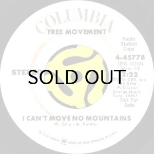 画像2: FREE MOVEMENT / I CAN'T MOVE NO MOUNTAINS (45's) (WHITE PROMO) (2)