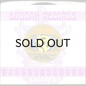 画像3: THE DECISIONS / IT'S LOVE THAT REALLY COUNTS (45's) (3)