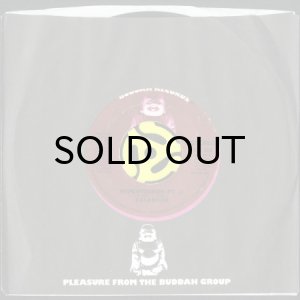 画像3: CALENDER / HYPERTENSION (45's) (3)