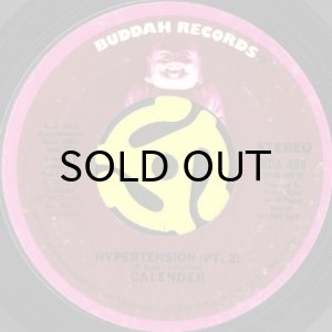 画像2: CALENDER / HYPERTENSION (45's) (2)