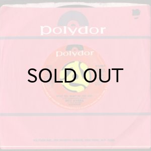 画像3: ROY AYERS / WHAT YOU WON'T DO FOR LOVE (45's) (3)