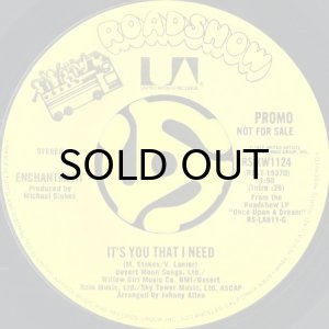 画像2: ENCHANTMENT / IT'S YOU THAT I NEED (45's) (WHITE PROMO) (2)