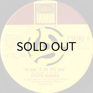 画像2: STEVIE WONDER / DON'T YOU WORRY 'BOUT A THING (45's) (2)