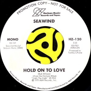 画像1: SEAWIND / HOLD ON TO LOVE (45's) (WHITE PROMO) (1)